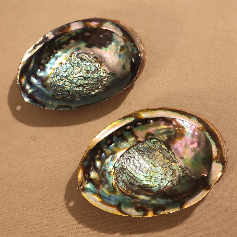 Vintage! Set Of Iridescent Abalone Shells